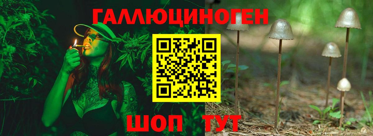 Сыктывкар  Псилоцибиновые грибы ЛСД  Вход с VPN 